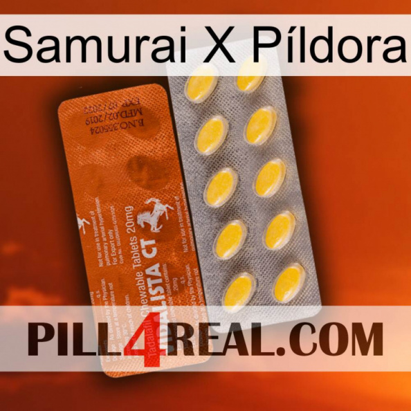 Samurai X Píldora 42.jpg